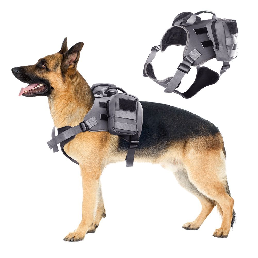 Dog Explosion-proof Chest Strap With Detachable Combination Backpack