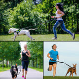 Pet Run Traction Rope Portable Waist Bag